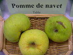 vignette pomme 'De Navet' = pomme 'Dodu'