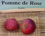 vignette pomme 'de Rose'