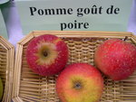 vignette pomme 'Got de Poire'