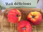 vignette pomme 'Red Delicious' = 'Delicious Rouge'