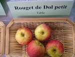 vignette pomme 'Rouget de Dol Petit'