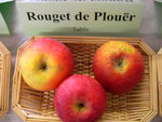 vignette pomme 'Rouget de Plour'