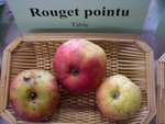 vignette pomme 'Rouget Pointu'