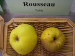 vignette pomme 'Rousseau'