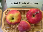 vignette pomme 'Teint Frais d'Hiver'