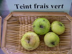 vignette pomme 'Teint Frais Vert'