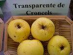 vignette pomme 'Transparente de Croncels' = 'Pomme de Croncels' = 'Glasapfel'