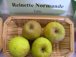 vignette Pomme 'Reinette Normande'