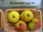 vignette Pomme 'Reinette Verte'