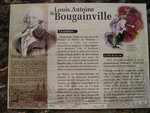vignette Bougainville