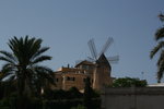 vignette Moulin de Majorque