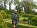 vignette 1 - Andr COZIC dans son Jardin  la Franaise de Buxus sempervirens 'Rotundifolia'