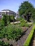 vignette Square Brardier -Jardin Mdival du Prieur de Locmaria