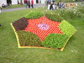 vignette Floralies Nantes 2009