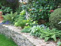 vignette Association Hostas - Fougres