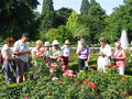 vignette Jardin des Plantes de Rouen