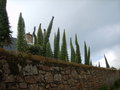 vignette Echiums