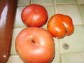 vignette tomates brandywine et autres