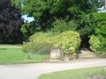 vignette jardin des plantes de  Rouen