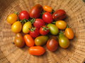 vignette Assortiment de tomates prune
