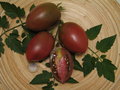 vignette Tomate Purple russian