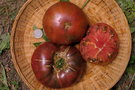 vignette Tomate Cherokee purple