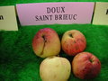 vignette Pomme 'Doux Saint Brieuc'