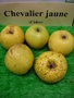vignette Pomme 'Chevalier jaune'