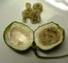 vignette fruit de Passiflora incarnata coupé en 2