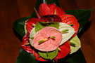 vignette Anthuriums en bouquet