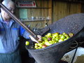 vignette 002 - Jus de pommes : broyage des pommes, broyeur