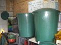 vignette 004 - Fabrication de jus de pommes, cuves de 500 litres