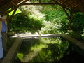 vignette 2005 06 04 - Arboretum du Poerop, Huelgoat