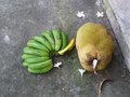 vignette Main de banane Figue Gabou et fruit de Jacquier