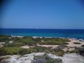 vignette Parc naturel des Salines - Las salinas  Ibiza
