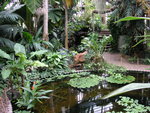 vignette Conservatory Jardin Botanique Genve