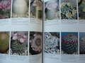 vignette Cacti The illustrated Dictionary Rod & Ken Preston-Mafham Timber Press (5 *****)