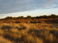 vignette Dunes de Keremma