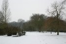 vignette Le parc sous la neige