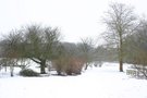 vignette Le parc sous la neige