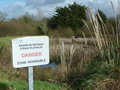 vignette Envahissement par les Gyneriums des espaces