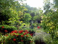 vignette Jardin typique Cypriot