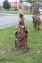 vignette Washingtonia filifera Rond Point Schoelcher 2 20100304