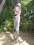 vignette Statues de fougres arborescentes (Vanuatou)