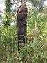 vignette Statues de fougres arborescentes (Vanuatou)