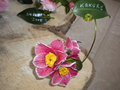 vignette Camellia 'Kakure-iso'
