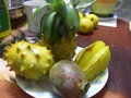 vignette kiwano, bayt ananas, fruit de cactus, carambola