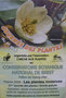 vignette 2008 : Journe des Plantes, 1er mai, Conservatoire Botanique, Brest