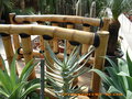vignette Pont en bambous