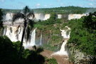 vignette Syagrus  à Iguaçu